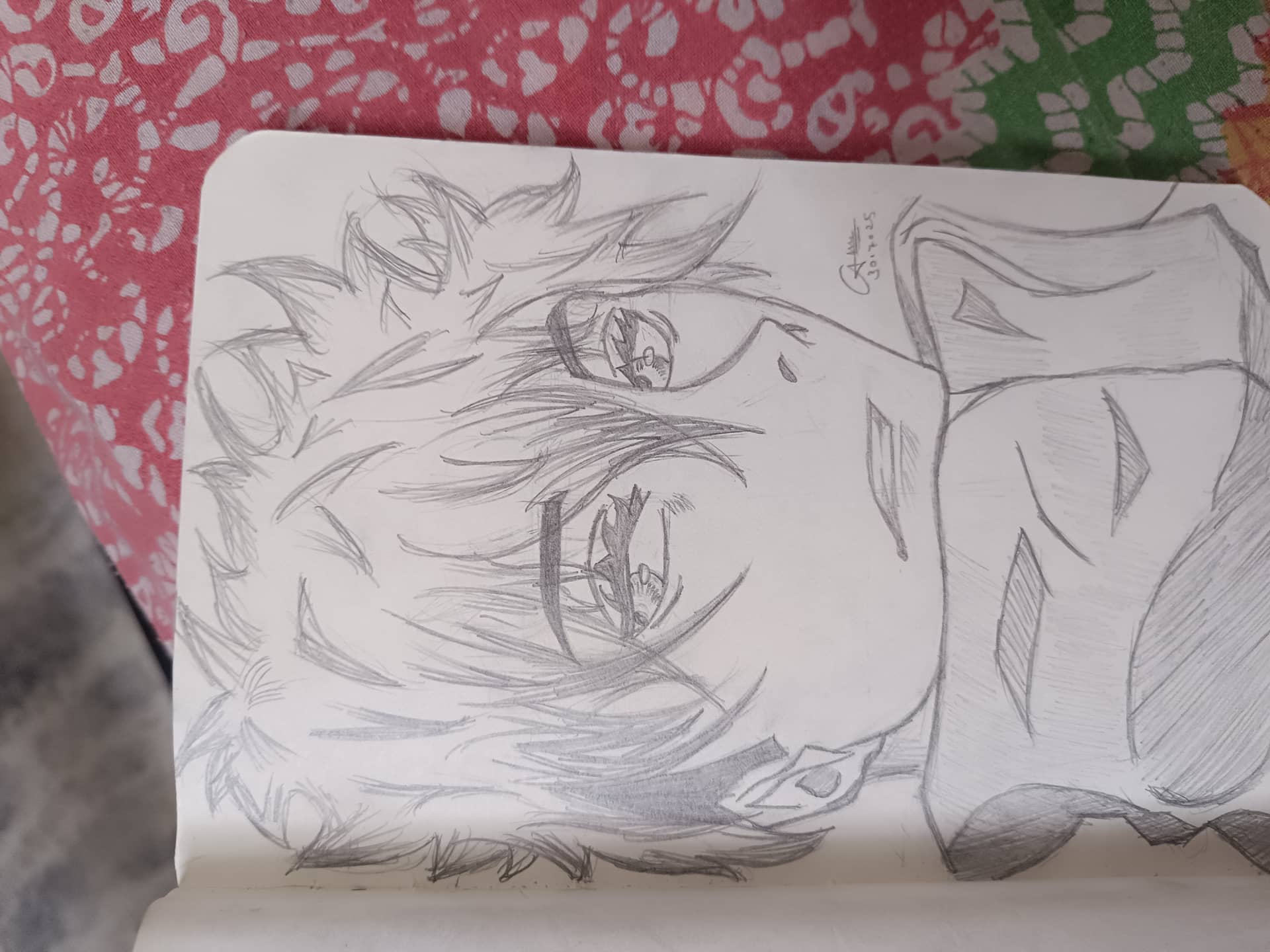 Hand Drawn Portrait